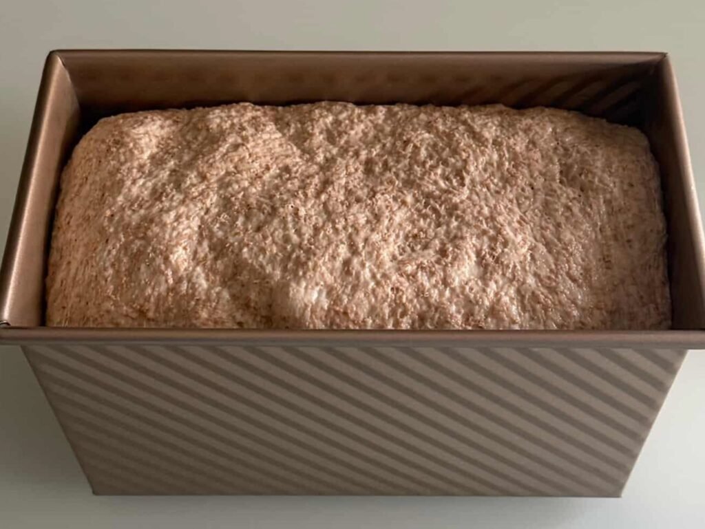 Impasto lievitato dentro stampo